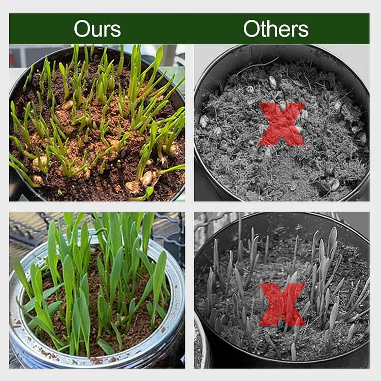 EcoBloom™ Prémium bio kókuszrost tégla növények számára