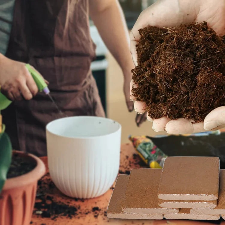 EcoBloom™ Prémium bio kókuszrost tégla növények számára