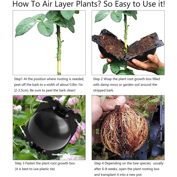 EcoRoot™ Doboz a növények gyökérnövekedéséhez