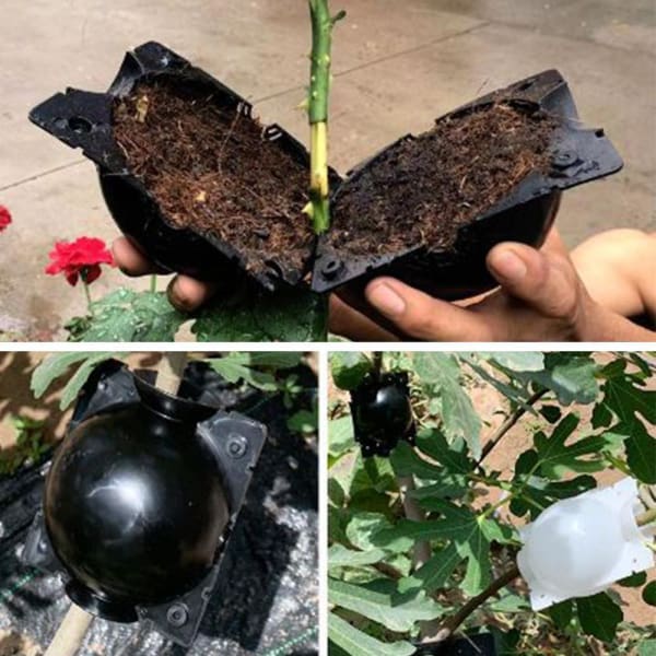 EcoRoot™ Doboz a növények gyökérnövekedéséhez