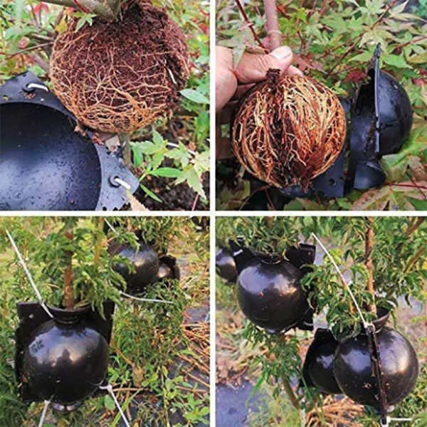 EcoRoot™ Doboz a növények gyökérnövekedéséhez