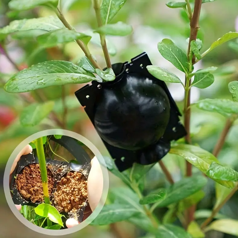 EcoRoot™ Doboz a növények gyökérnövekedéséhez