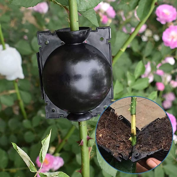 EcoRoot™ Doboz a növények gyökérnövekedéséhez