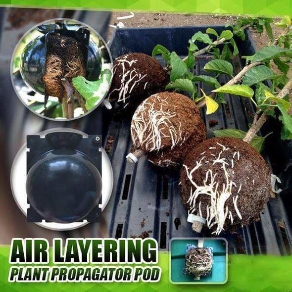 EcoRoot™ Doboz a növények gyökérnövekedéséhez