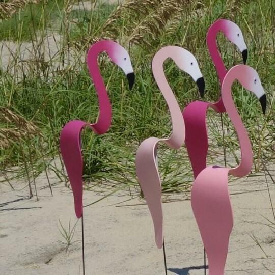 Gardenia Oasis™️ Kerti flamingó