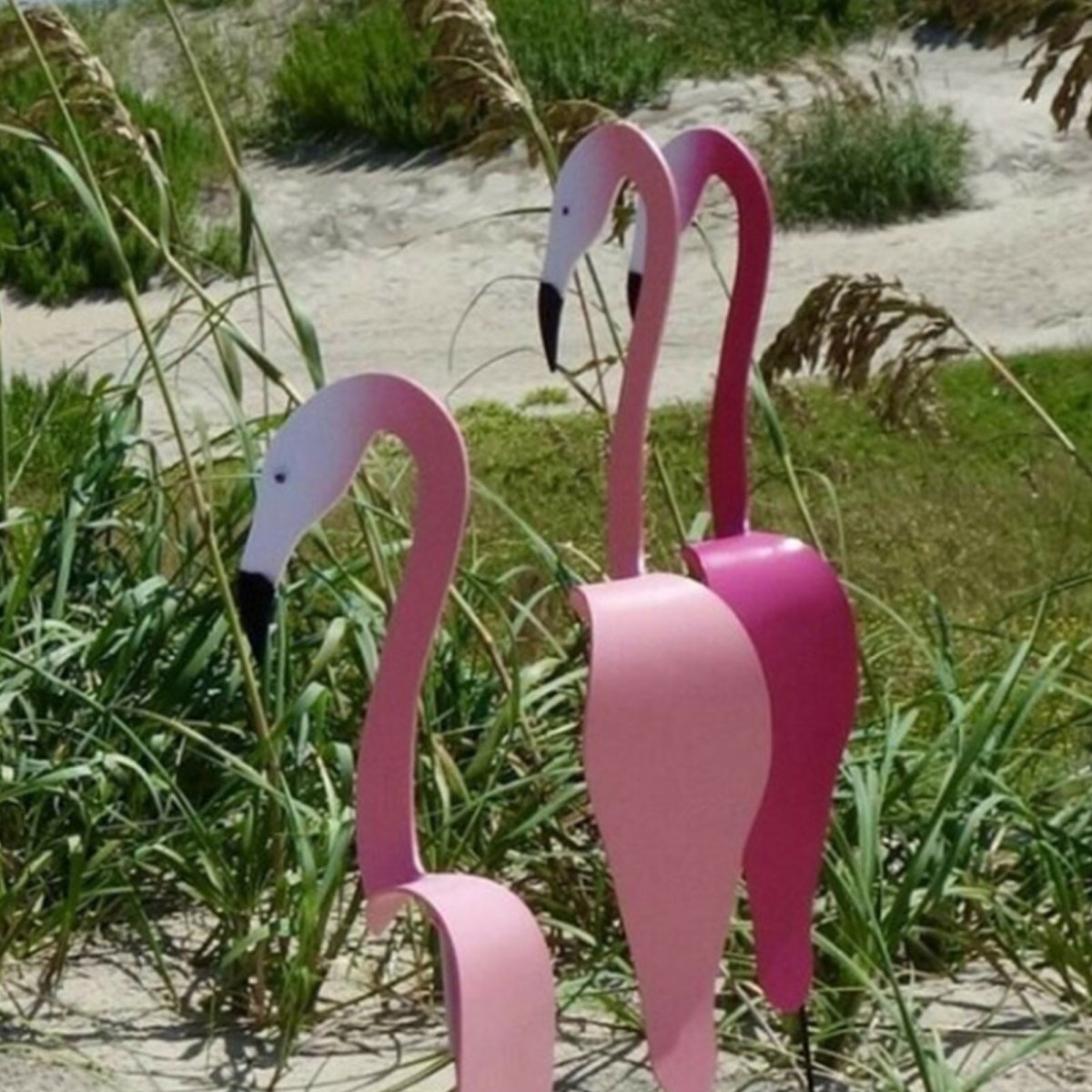 Gardenia Oasis™️ Kerti flamingó