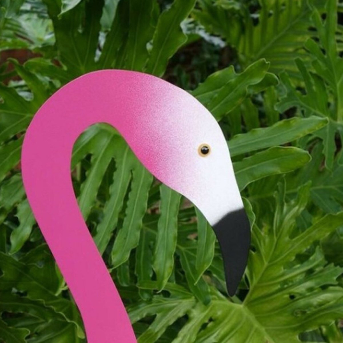 Gardenia Oasis™️ Kerti flamingó