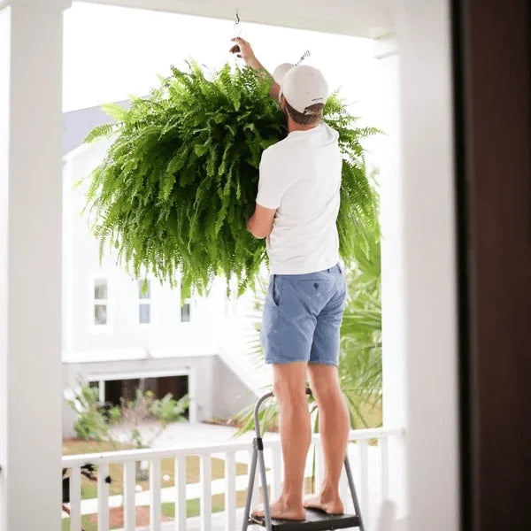 GreenAura™ UV-álló mesterséges bostoni páfrány