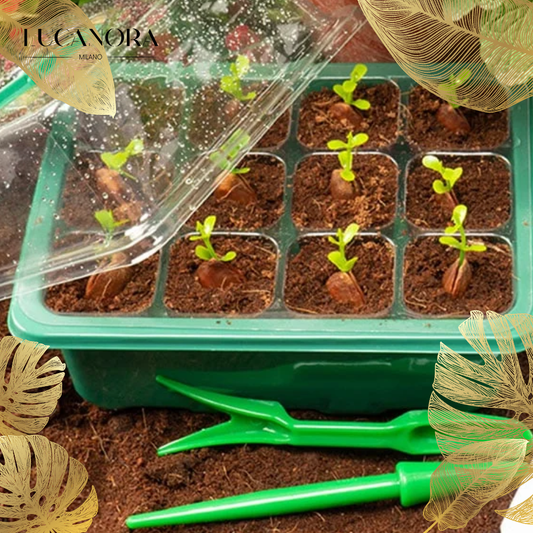 PlantPod™ Magvető állítható páratartalommal