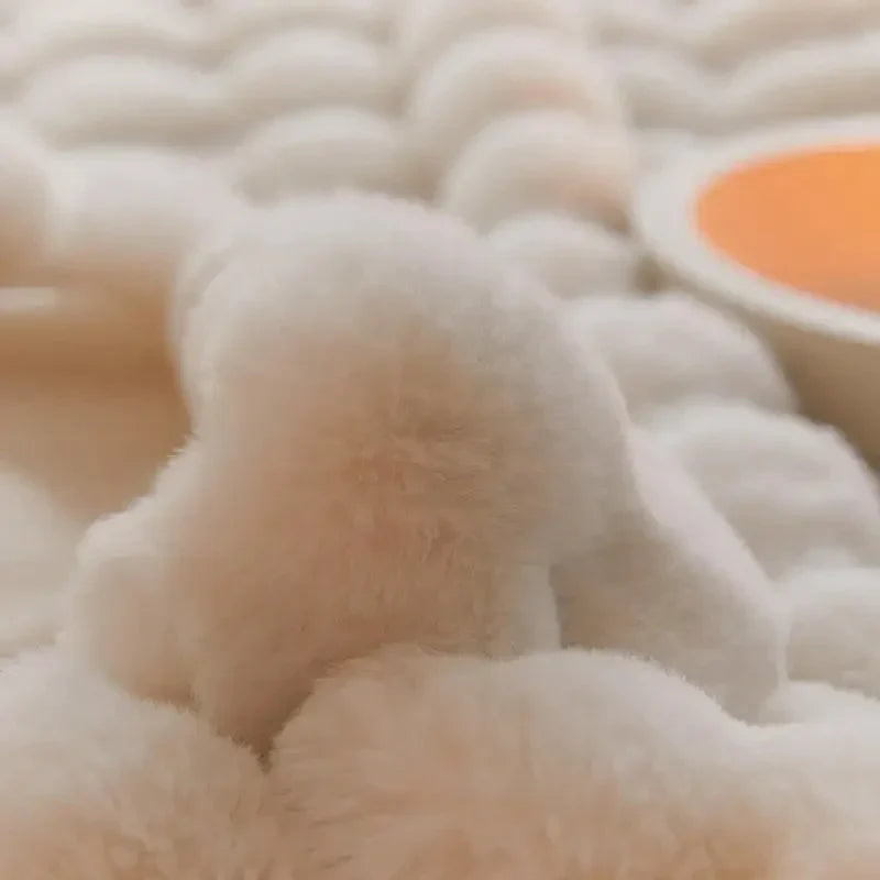 SnugNest™ Meleg plüss és puha takaró