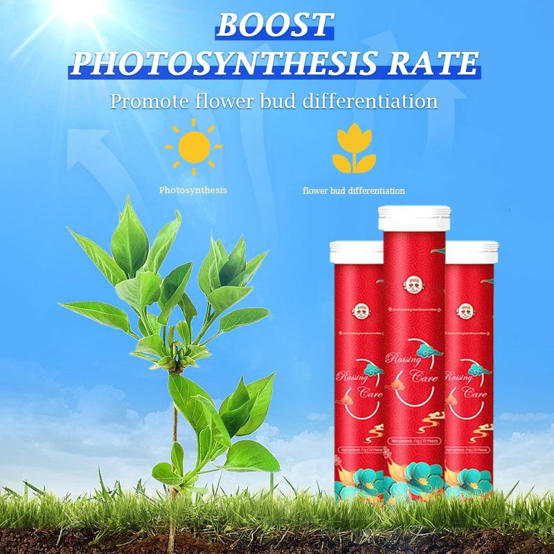 VegiBloom+™ Természetes tabletták növénytermesztéshez