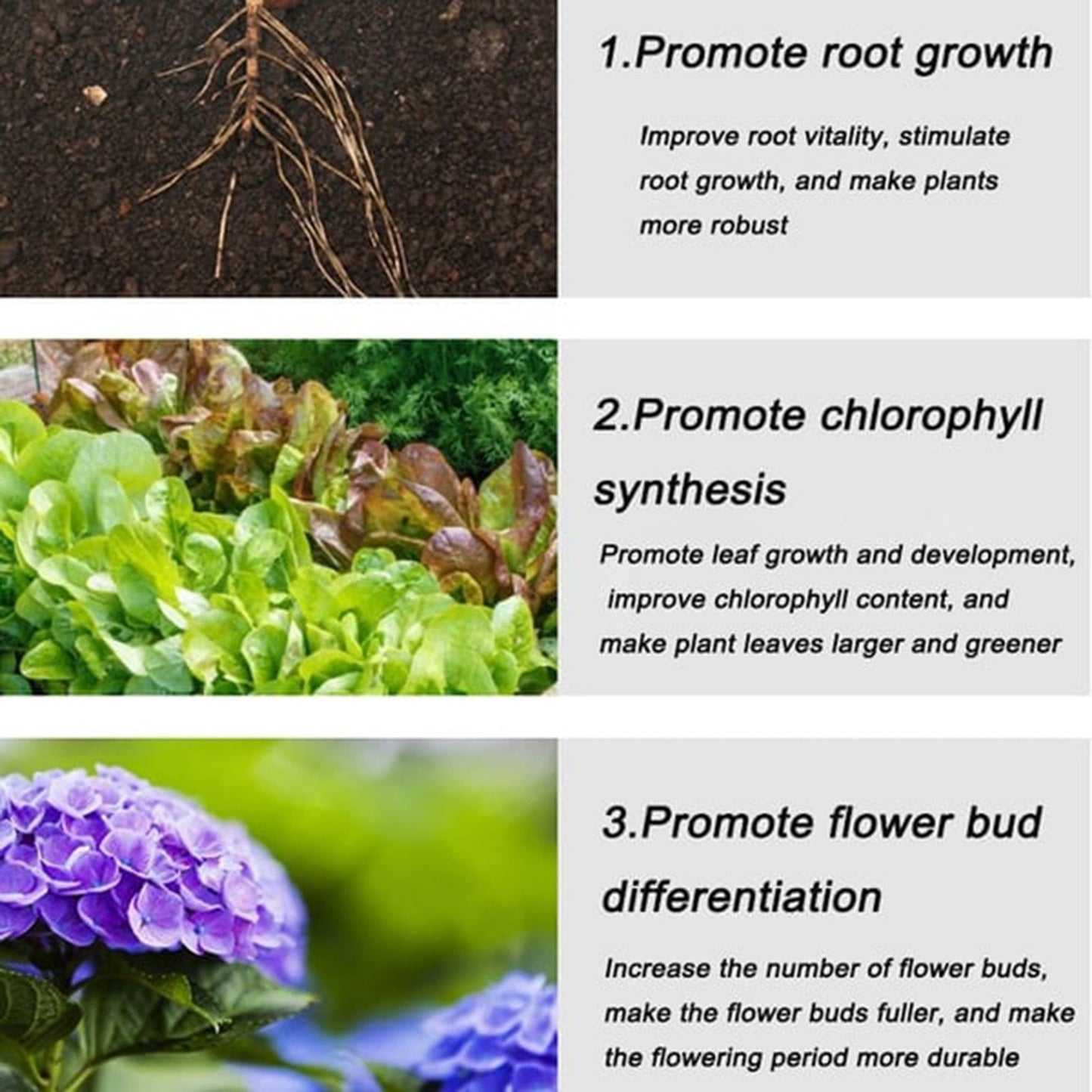 VegiBloom+™ Természetes tabletták növénytermesztéshez