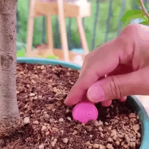 VegiBloom+™ Természetes tabletták növénytermesztéshez